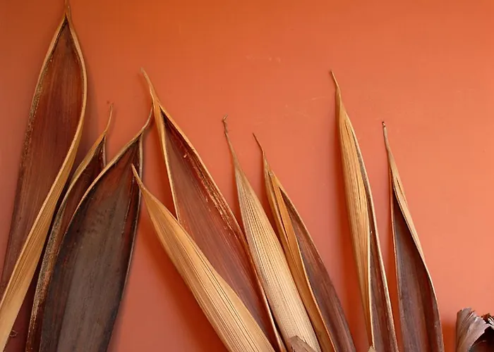 Ξενοδοχείο Terme Castaldi