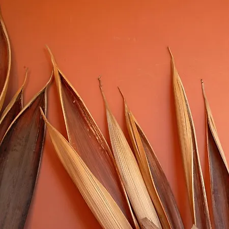 מלון Terme Castaldi